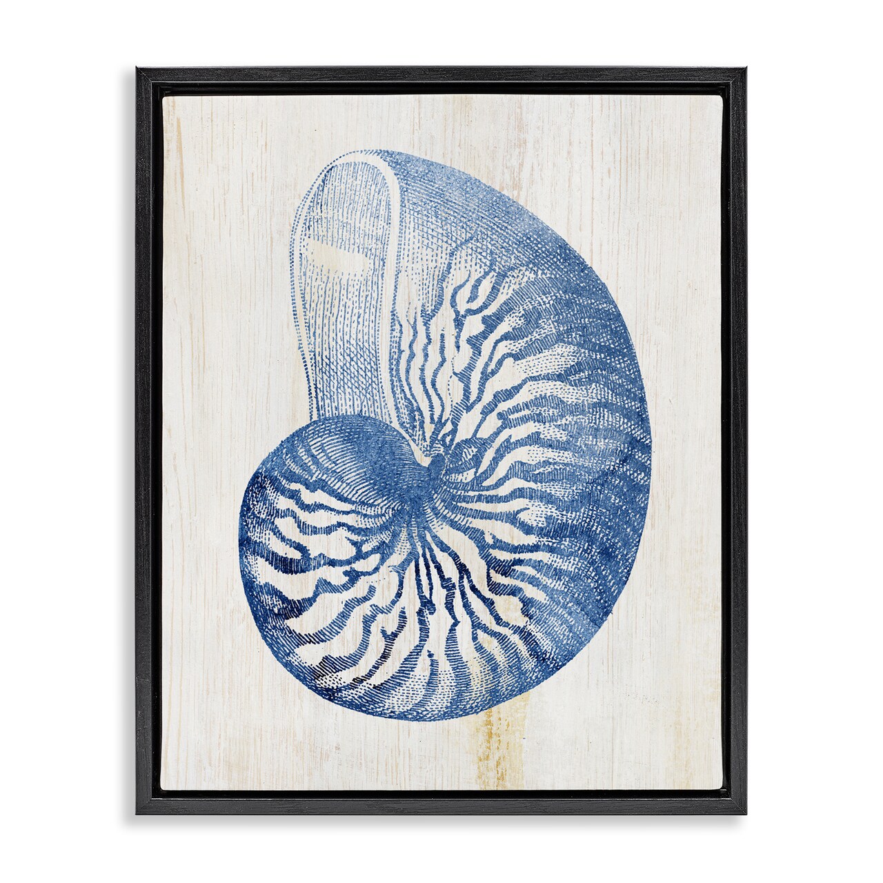 Stupell Industries Blue Nautilus Shell Floating Frame Design by Susan Arnot